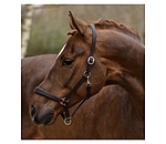 Leather Headcollar Siri