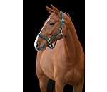 Headcollar Glamorous