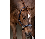 Headcollar Glamorous