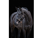 Headcollar Glamorous