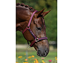 Headcollar Twotone