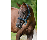 Headcollar Twotone