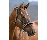 Headcollar Basic