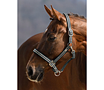 Headcollar Basic