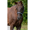 Headcollar Basic