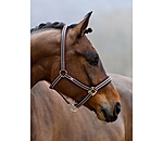 Headcollar Basic