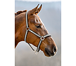 Headcollar Basic