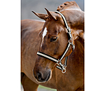 Headcollar Basic