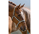 Headcollar Basic