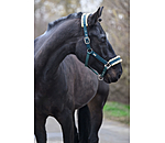 Headcollar Sparkling II