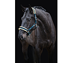 Headcollar Sparkling II