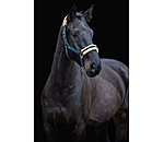 Headcollar Sparkling II