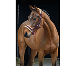 Headcollar Sparkling II