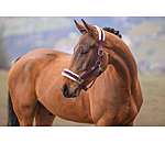 Headcollar Sparkling II