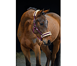 Headcollar Sparkling II