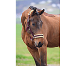 Headcollar Sparkling II