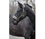 Headcollar Sparkling II