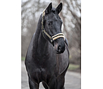 Headcollar Sparkling II