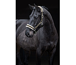 Headcollar Sparkling II