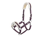 Headcollar Sparkling II