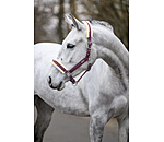 Headcollar Sparkling II