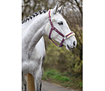 Headcollar Sparkling II