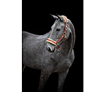 Headcollar Sparkling II