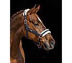 Headcollar Sparkling II