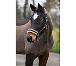 Headcollar Sparkling II