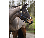 Headcollar Sparkling II