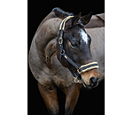 Headcollar Sparkling II