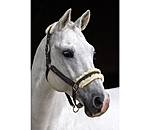 Headcollar Sparkling II