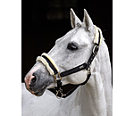 Headcollar Sparkling II