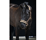Headcollar Sparkling II