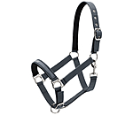 Headcollar Viktor