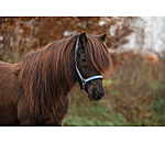 Headcollar Viktor