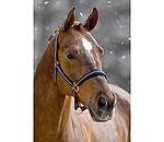 Headcollar Shimmering