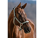 Headcollar Shimmering