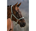 Headcollar Shimmering