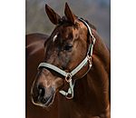 Headcollar Shimmering