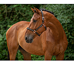 Headcollar Shimmering