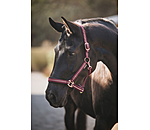 Headcollar Shimmering