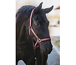 Headcollar Shimmering
