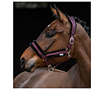 Teddy Fleece Headcollar Anatomical Relaxation
