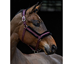 Teddy Fleece Headcollar Anatomical Relaxation