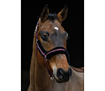 Teddy Fleece Headcollar Anatomical Relaxation