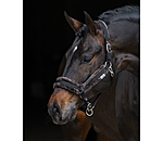 Teddy Fleece Headcollar Anatomical Relaxation