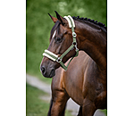 Teddy Fleece Headcollar Super Price III
