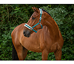 Teddy Fleece Headcollar Super Price III