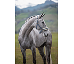 Teddy Fleece Headcollar Super Price III